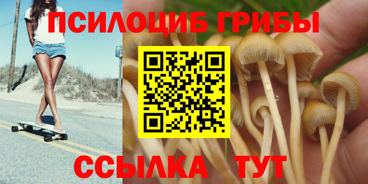 Псков  Галлюциногенные грибы мухоморы  Вход с VPN  что такое наркотик  Галлюциногенные грибы GOLDEN TEACHER 