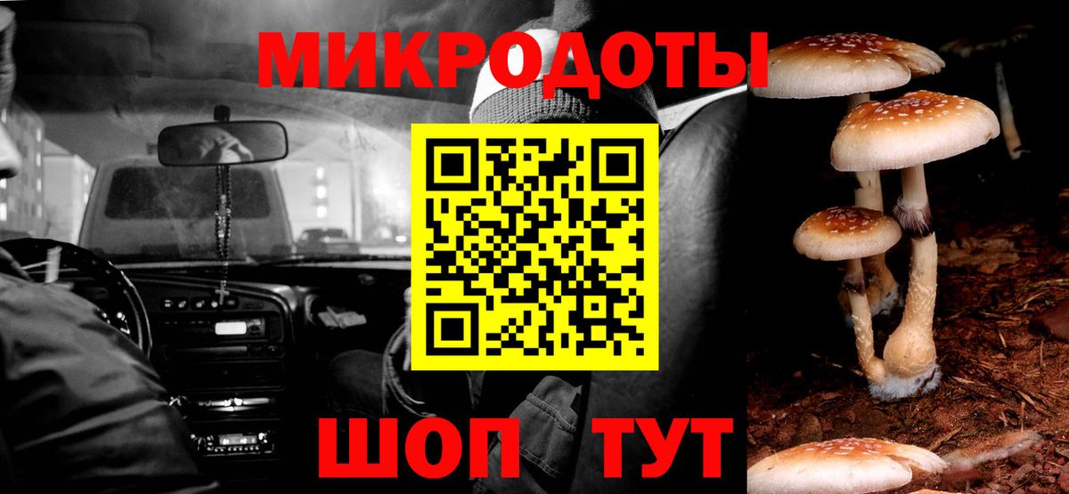 Галлюциногенные грибы прущие грибы Псков